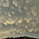 Stosswihr 29/06/2026