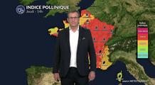 Pollens et allergies : des indices polliniques moins élevés dans le nord-ouest ce jeudi