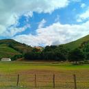 Auzkia 02/07/2026