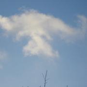 Aubepierre-sur-Aube 16/11/2010