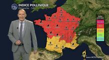 Pollens et allergies : chaleur et soleil permettent une dispersion massive des pollens dimanche