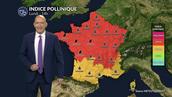 Pollens et allergies : chaleur et soleil permettent une dispersion massive des pollens lundi
