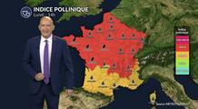 Pollens et allergies : chaleur et soleil permettent une dispersion massive des pollens lundi