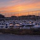 France 05/07/2026