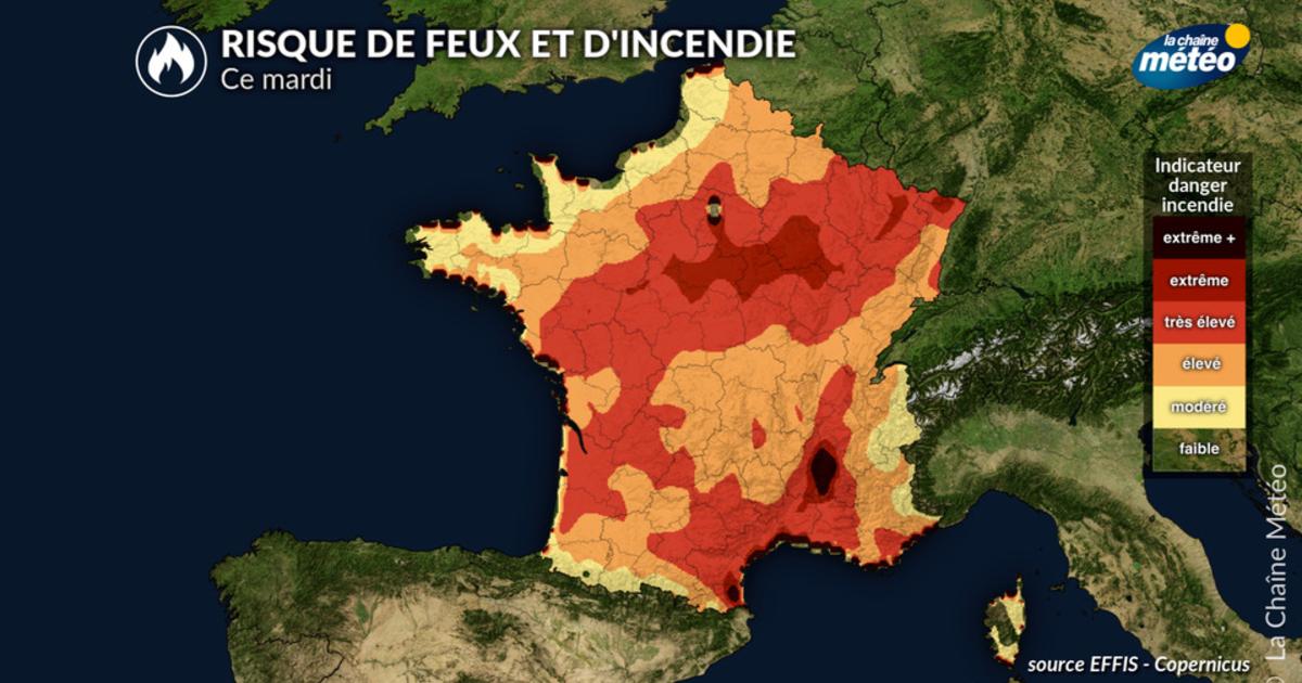 Canicule : le risque d'incendies atteint un niveau critique en France