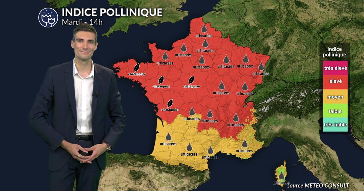 Pollens et allergies ce mardi : la canicule et le vent aggravent fortement le risque allergique