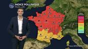 Pollens et allergies ce mardi : la canicule et le vent aggravent fortement le risque allergique