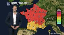 Pollens et allergies ce mardi : la canicule et le vent aggravent fortement le risque allergique