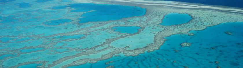 Australie: la Grande Barrière de corail pas "en péril" mais dans un état préoccupant (ONU)