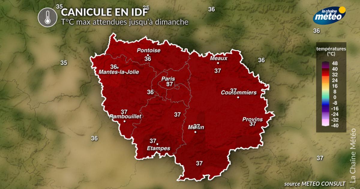 Canicule en Île-de-France : nouvelles journées difficiles en vue cette semaine