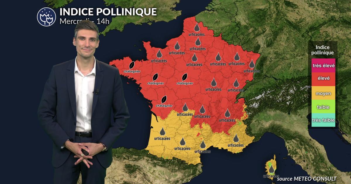 Pollens et allergies ce mercredi : risque allergique maximal dans de nombreuses régions