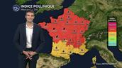 Pollens et allergies ce mercredi : risque allergique maximal dans de nombreuses régions