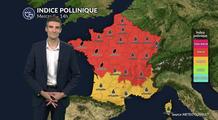 Pollens et allergies ce mercredi : risque allergique maximal dans de nombreuses régions