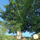 Rouy-le-Grand 07/07/2026