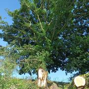 Rouy-le-Grand 07/07/2026