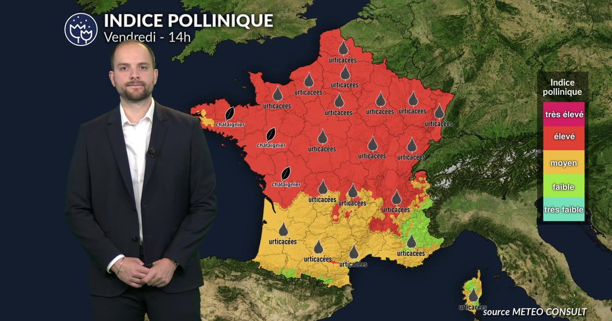 Canicule : risque allergique encore élevé avec quelques orages salvateurs