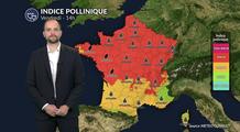 Canicule : risque allergique encore élevé avec quelques orages salvateurs