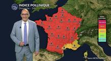 Pollens et allergies : un risque encore élevé avec la canicule, malgré une végétation sous stress dimanche