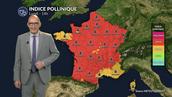Pollens et allergies : un risque encore élevé avec la canicule, malgré une végétation sous stress lundi