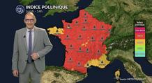 Pollens et allergies : un risque encore élevé avec la canicule, malgré une végétation sous stress lundi