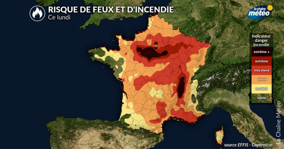 Incendies en France : 25 000 hectares brûlés depuis le début de saison, plus de 1 000 hectares ravagés à Fontainebleau
