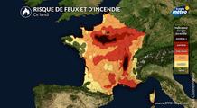 Incendies en France : 25 000 hectares brûlés depuis le début de saison, plus de 1 000 hectares ravagés à Fontainebleau