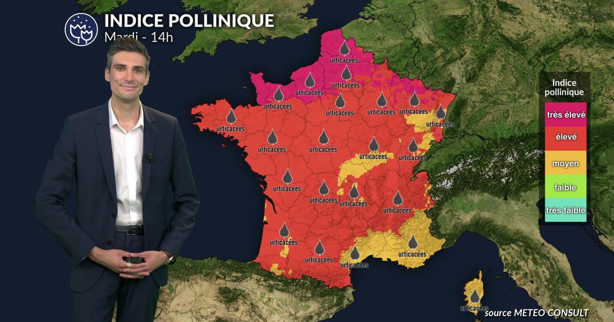 Pollens et allergies : risque très élevé sur une grande partie de la France ce mardi