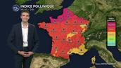 Pollens et allergies : risque très élevé sur une grande partie de la France ce mardi