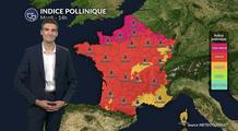 Pollens et allergies : risque très élevé sur une grande partie de la France ce mardi
