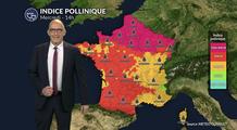 Pollens et allergies : risque très élevé sur une grande partie de la France