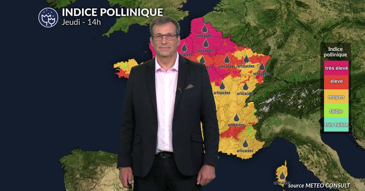 Pollens et allergies : des concentrations polliniques moins élevées avec le retour des orages