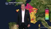 Pollens et allergies : des concentrations polliniques moins élevées avec le retour des orages