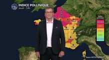 Pollens et allergies : des concentrations polliniques moins élevées avec le retour des orages