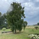 Crépon 15/07/2026