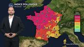 Pollens et allergies : amélioration au nord, vigilance maintenue près de la Méditerranée