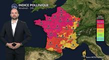 Pollens et allergies : amélioration au nord, vigilance maintenue près de la Méditerranée