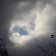 Aubepierre-sur-Aube 19/11/2010