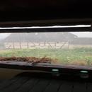 Sierentz 16/07/2026