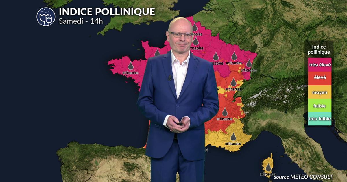 Alerte pollen niveau 5 : chêne et urticacées saturent l'air sur 80 % du territoire