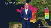 Alerte pollen niveau 5 : chêne et urticacées saturent l'air sur 80 % du territoire