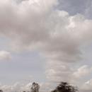 Diakhao 17/07/2026