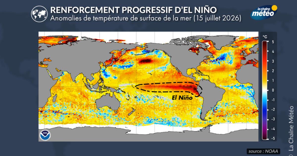 El Niño se renforce rapidement : faut-il redouter un épisode « Godzilla » ?