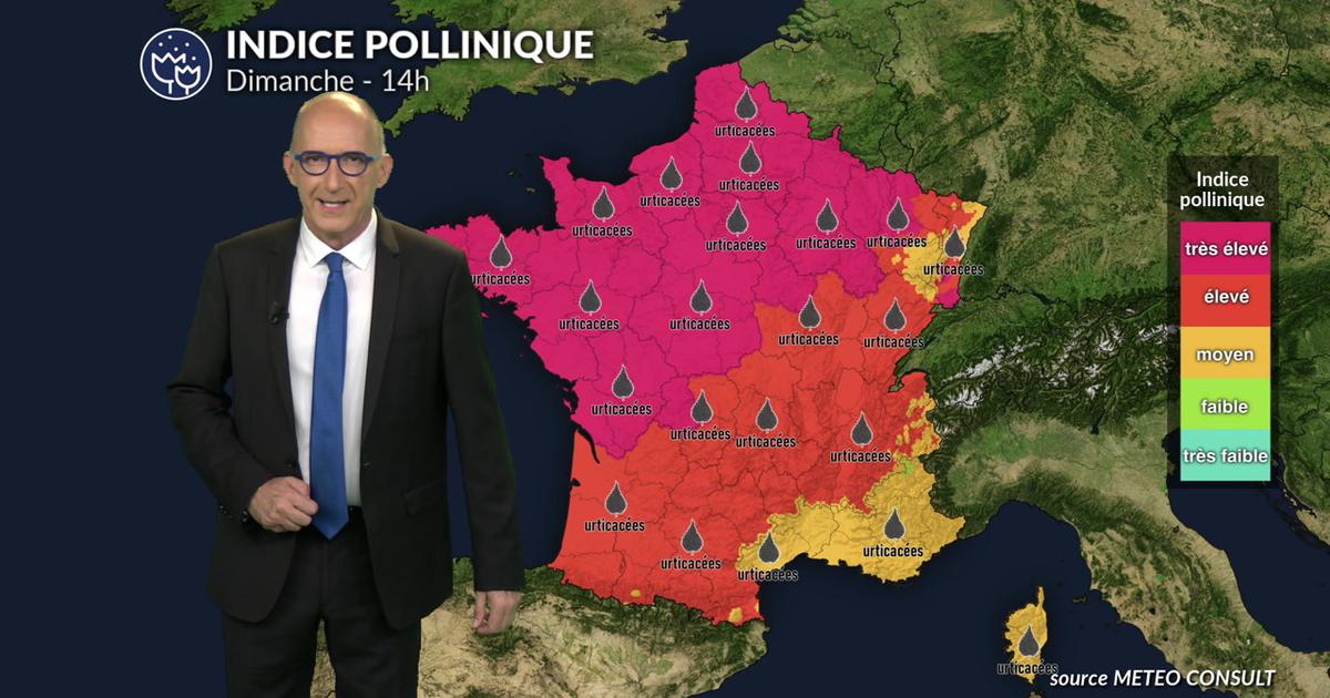 Canicule au sud et air frais au nord : urticacées et olivier sous haute surveillance dans le tiers sud