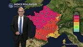Canicule au sud et air frais au nord : urticacées et olivier sous haute surveillance dans le tiers sud