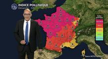 Canicule au sud et air frais au nord : urticacées et olivier sous haute surveillance dans le tiers sud