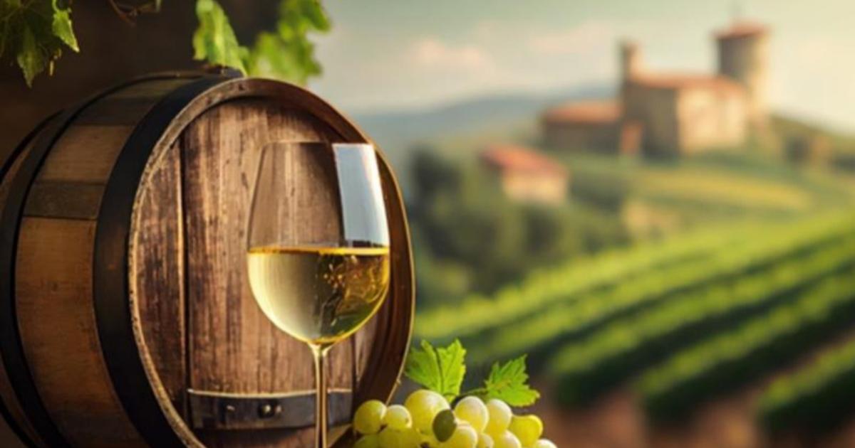 Vendanges 2026 : la chaleur et la sécheresse avancent la récolte à des dates historiques