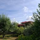 Vic-sur-Aisne 19/07/2026