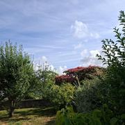 Vic-sur-Aisne 19/07/2026