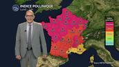 Alerte rouge aux pollens de chêne et urticacées sur presque toute la France lundi