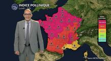 Alerte rouge aux pollens de chêne et urticacées sur presque toute la France lundi